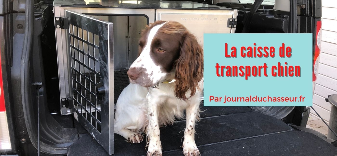 La caisse de transport chien – Journal du chasseur